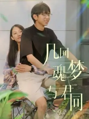 《几回魂梦与君同》：穿越古今的情感羁绊，一场跨越时空的治愈与救赎